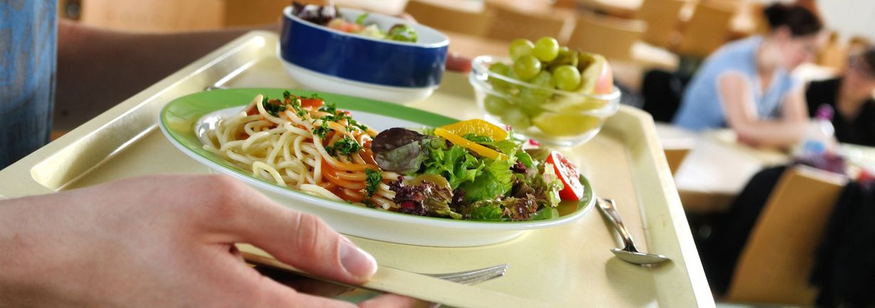 area-salud-soles-gastronomia
